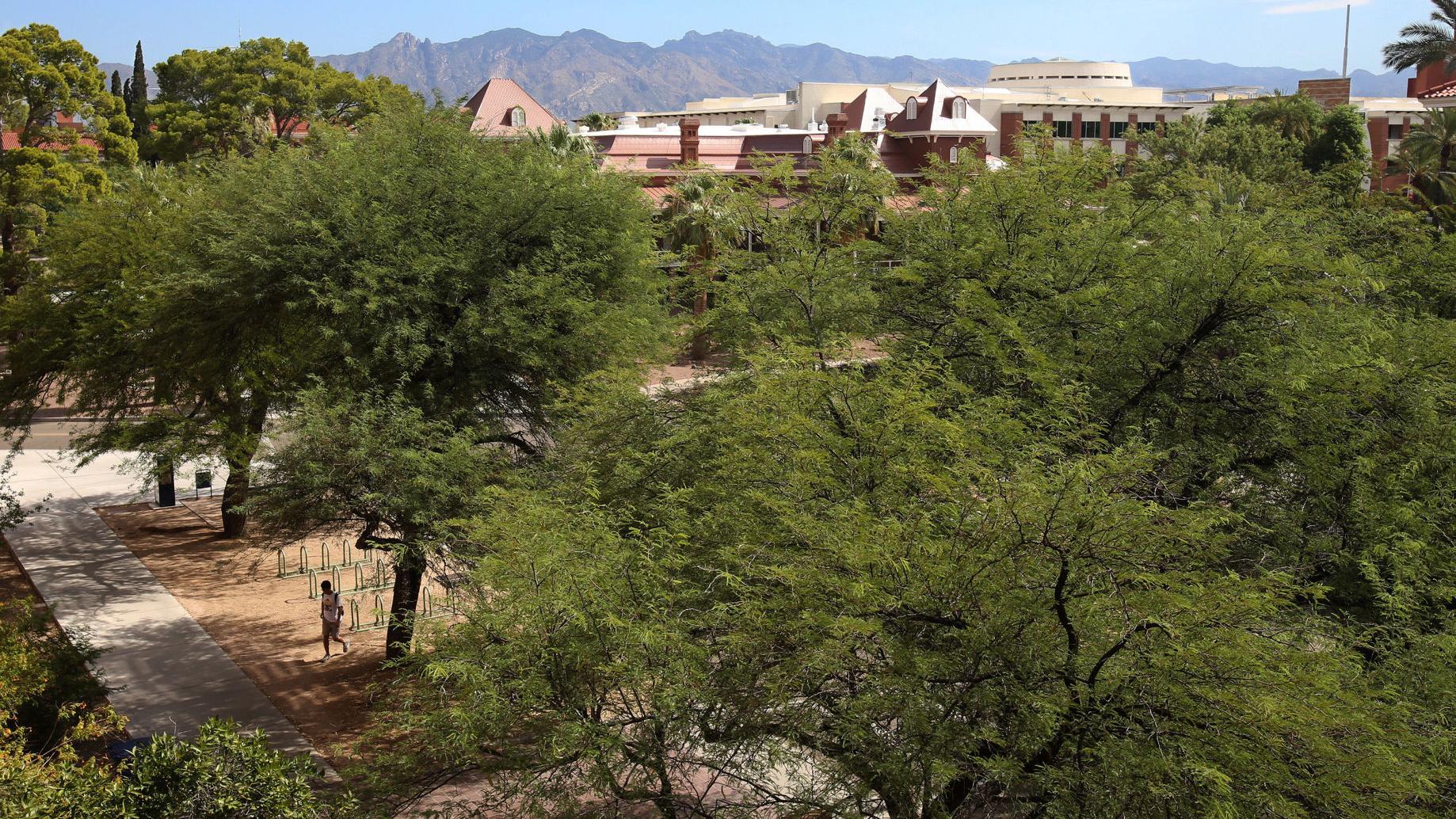 Annual University of Arizona crime report shows increase in sexual assaults